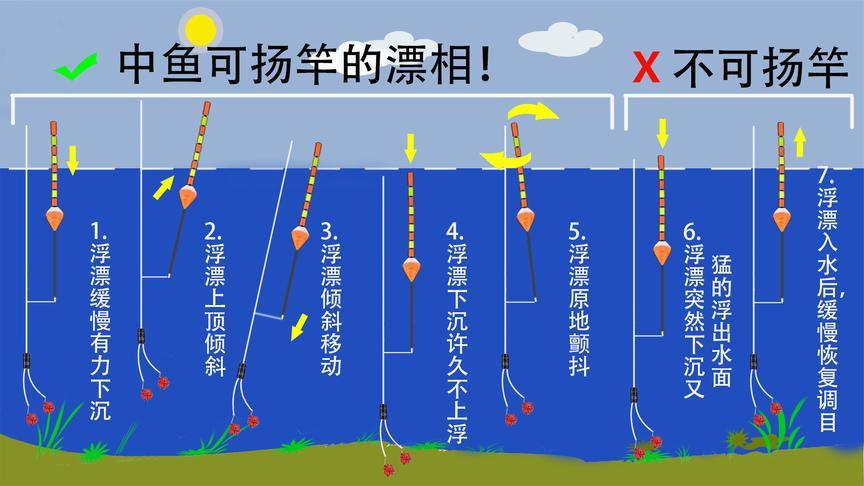 钓鱼如何检测浮漂的正确?钓鱼如何检测浮漂的正确方法!正确的看漂相方法？?