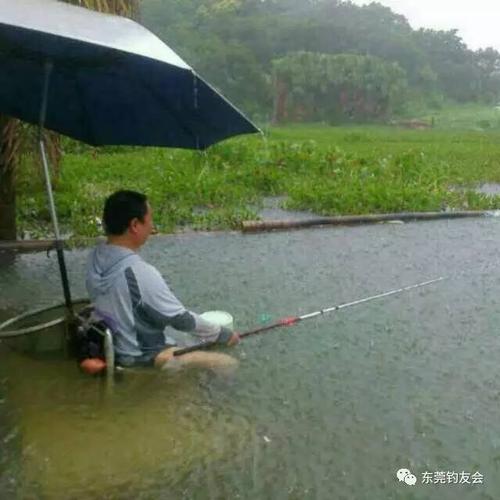 如何在大雨后钓鱼最有效?如何在大雨后钓鱼最有效的方法!下大雨钓鱼技巧？?